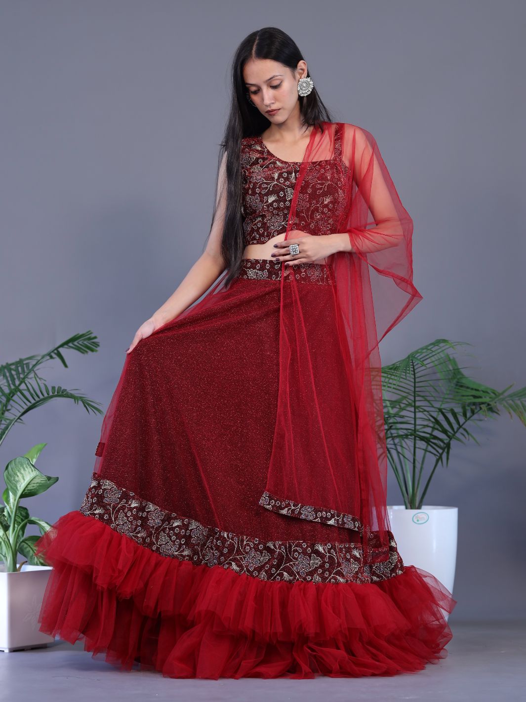 Beautiful Net Lehnga - Red