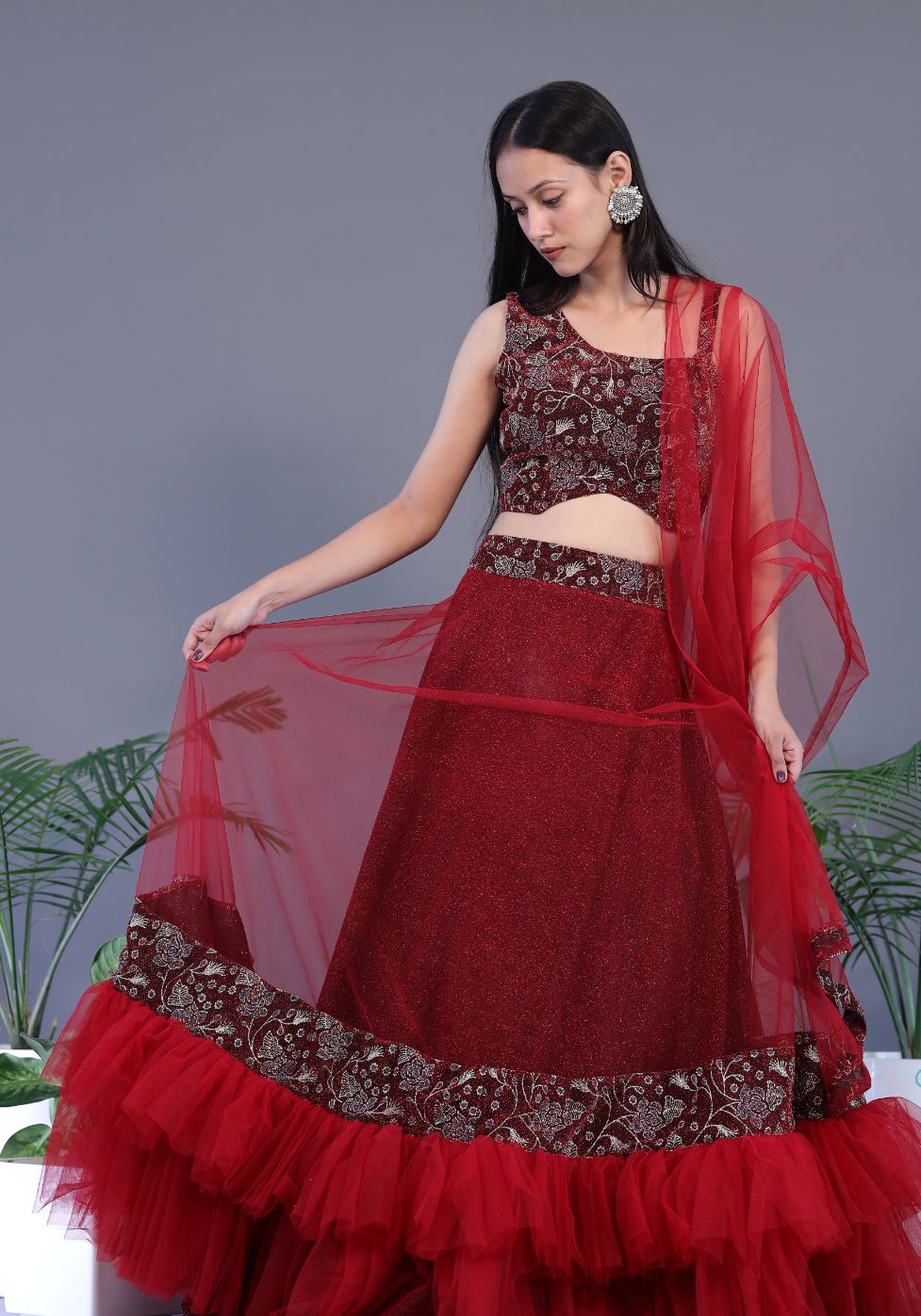 Beautiful Net Lehnga - Red