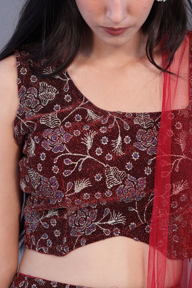 Beautiful Net Lehnga - Red